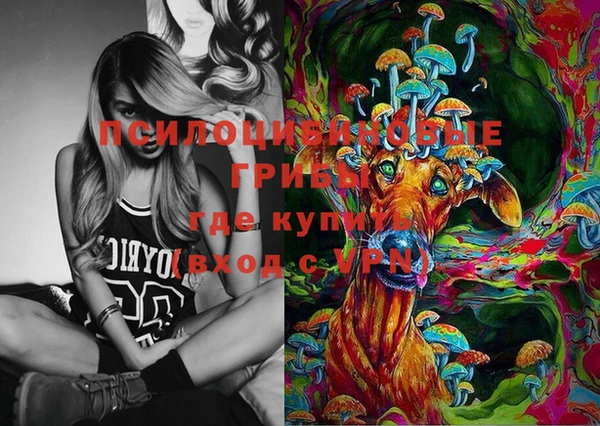 дурь Няндома