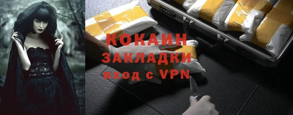 дурь Няндома