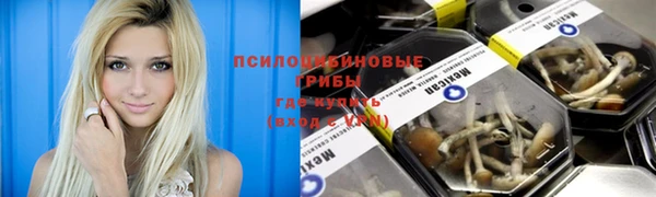 spice Нязепетровск
