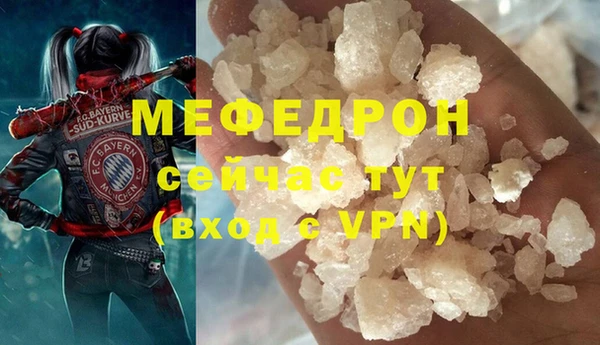 дурь Няндома