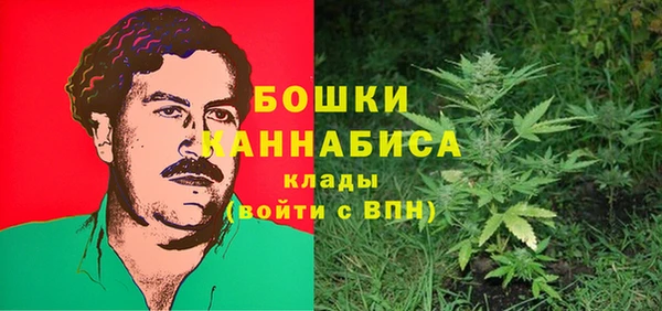 spice Нязепетровск