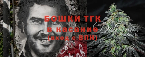 дурь Няндома