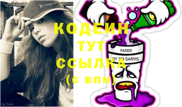 дурь Няндома