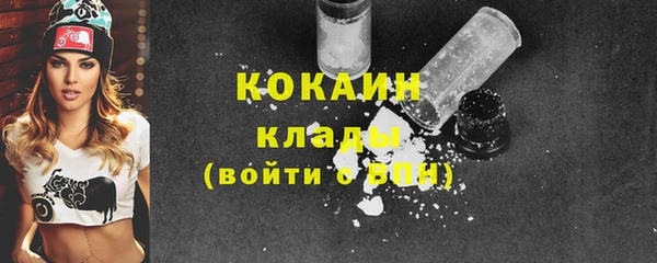 дурь Няндома