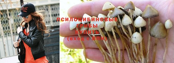 MESCALINE Нягань