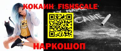 шишки Абакан