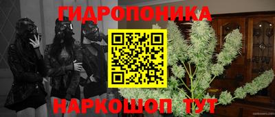 ешки Абинск