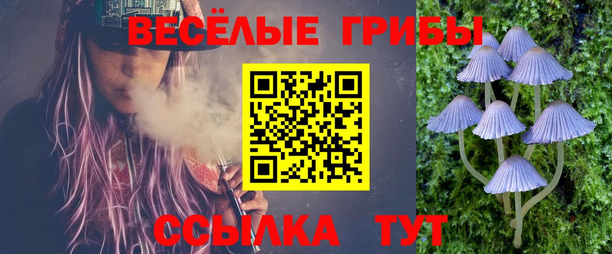 Галлюциногенные грибы мухоморы Алексин