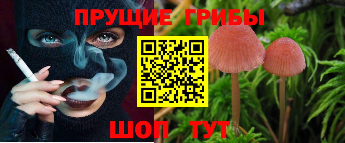 Алексин  сколько стоит  Псилоцибиновые грибы мицелий  Вход с VPN  Псилоцибиновые грибы MAGIC MUSHROOMS 